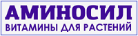 AMINOSIL AMINOSIL