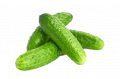 Огурцы